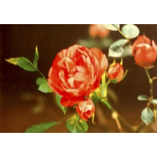 Набор для вышивания 'РИСУЕМ ИГЛОЙ' арт. N0026. Люкс. 'Розовые мечты' (30х45 см)