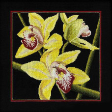 Набор для вышивания арт.РТ-M264 'Орхидеи Цимбидиум' 36x36 см