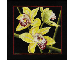 Набор для вышивания арт.РТ-M264 'Орхидеи Цимбидиум' 36x36 см