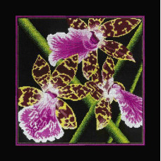 Набор для вышивания арт.РТ-M265 'Орхидеи Зигопеталум' 36x36 см