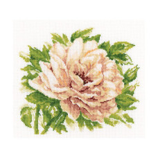 Набор для вышивания арт.РТ-M370 'Английская роза' 28х26 см