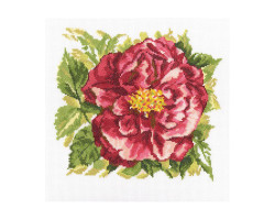 Набор для вышивания арт.РТ-M371 'Английская роза' 26х26 см