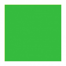 Открытка арт. ЛО-О23006 16Х16 двойная яр.зеленая матовая