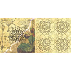 Бумага для скрапбукинга 'ботанический атлас' арт.CP01043 венерин башмачок 30,5х30,5см 160г/м дв