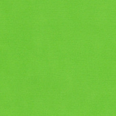Кардсток текстурированный арт.SCB172312058 ярко-зеленый 30,5*30,5 см, 216 гр/м уп.25 листов