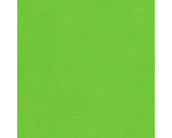 Кардсток текстурированный арт.SCB172312058 ярко-зеленый 30,5*30,5 см, 216 гр/м уп.25 листов