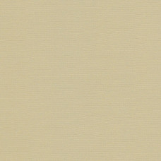 Кардсток текстурированный арт.SCB172312084 светло-оливковый 30,5*30,5 см, 216 гр/м