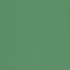 Кардсток текстурированный арт.SCB172312103 Насыщено-зеленый 30,5*30,5 см, 216 гр/м уп.25 листов