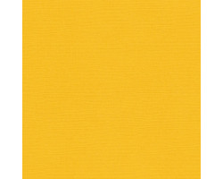Кардсток текстурированный арт.SCB172312124 Шафраново-желтый 30,5*30,5 см, 216 гр/м уп.25 листов