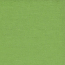 Кардсток текстурированный арт.SCB172312137 Зеленый папоротник 30,5*30,5 см, 216 гр/м уп.25 листов