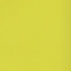 Кардсток текстурированный арт.SCB172312139 Желтовато-зеленый 30,5*30,5 см, 216 гр/м уп.25 листов