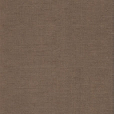 Кардсток текстурированный арт.SCB172312147 Темный беж 30,5*30,5 см, 216 гр/м уп.25 листов