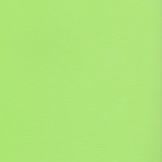 Кардсток текстурированный арт.SCB172312152 Зеленая лужайка 30,5*30,5 см, 216 гр/м уп.25 листов
