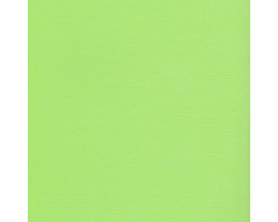 Кардсток текстурированный арт.SCB172312152 Зеленая лужайка 30,5*30,5 см, 216 гр/м уп.25 листов