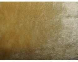 Мех 'Игрушка' арт.КЛ24071 M-1208 50*50см (+/- 1см) песочный