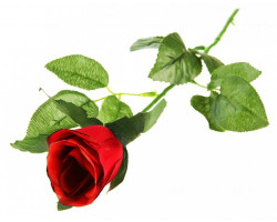 СЛ.440528 Цветы искусственные Роза цвета микс 65см d-5см