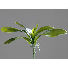 Листья орхидеи х5 арт.LT.60237-5 цв.зеленый 34см
