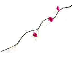 СЛ.140066 Декор тинги розы с лютиками цв.малина 160 см
