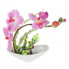 СЛ.141107 Цветочная композиция Орхидея с ягодами в чаше 20х15см
