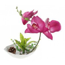 СЛ.141108 Цветочная композиция Орхидея с шишкой в чаше 20х17см