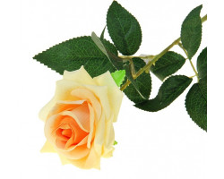 СЛ.649219 Цветы искусственные Роза раскрытая цв.кремовый 70 см