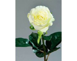 Цветы искусственные арт.LT.42135-05 Роза эквадорская цв.кремовый 50см