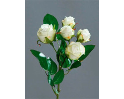 Цветы искусственные арт.LT.42543-10 Роза кустовая х 5 цв.бело-зеленый 35см