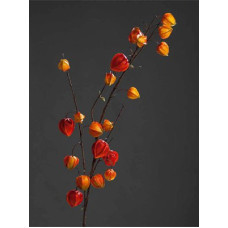 Цветы искусственные арт.LT.42712-18 Ветка Физалиса цв.оранжевый 106см
