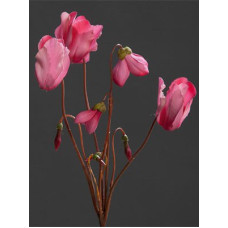 Цветы искусственные арт.LT.56409-03 Цикламен цв.розовый 40см