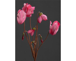 Цветы искусственные арт.LT.56409-03 Цикламен цв.розовый 40см