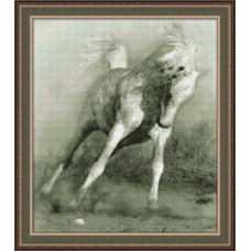 Набор для вышивания 'Юнона' арт.0111 'Белый конь' 28х32см
