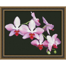 Набор для вышивания 'Юнона' арт.0116 'Ветка орхидеи' 22,5х17,5см