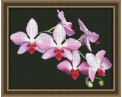 Набор для вышивания 'Юнона' арт.0116 'Ветка орхидеи' 22,5х17,5см